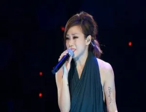 林忆莲2012香港演唱会BD 4K高清资源 52.5G 百度网盘分享-小文资源网
