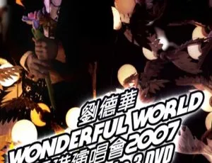 刘德华2007香港Wonderful World演唱会卡拉OK 3DVD 19.74GB百度网盘资源-小文资源网