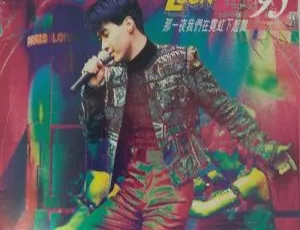 1995黎明香港演唱会：那一夜我们在霓虹下起舞 卡拉OK双角度 2DVD ISO 8.49G 百度网盘-小文资源网