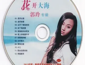 郭玲《花开大海》专辑 DVD 音乐碟 2.27GB 百度网盘资源-小文资源网