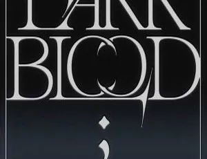 엔하이픈 ENHYPEN - DARK BLOOD 2023 24bit-44.1kHz Hi-Res Flac 214MB 百度网盘资源-小文资源网