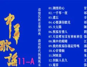 群星《中华歌谣11》KTV必备2DVD音乐专辑碟（NRG6.51G+6.35G） 百度网盘资源-小文资源网