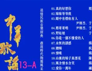 群星《中华歌谣13》KTV 2DVD音乐专辑碟（NRG5.75G+6.35G） 百度网盘资源-小文资源网