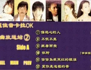 群星《波丽佳音2KTV》DVD音乐专辑碟 3.67G+3.54G 百度网盘资源-小文资源网