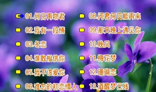 [DVD音乐专辑碟][刘秋仪 – 冬恋][KTV][2DVDISO][3.09G+3.17G][百度网盘]