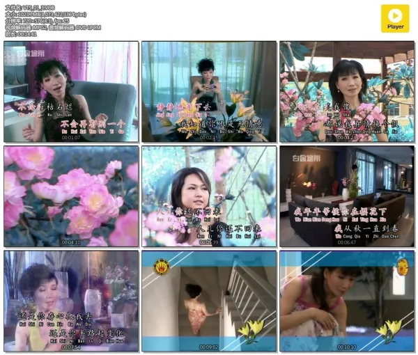 [DVD音乐专辑碟][刘秋仪 – 冬恋][KTV][2DVDISO][3.09G+3.17G][百度网盘]