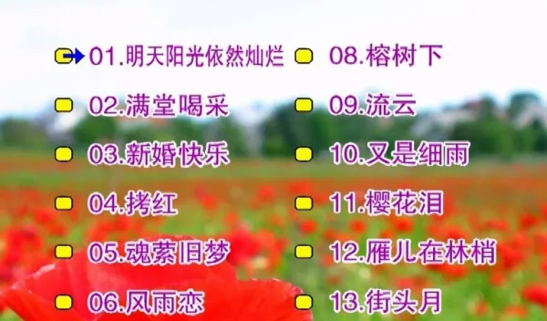 [DVD音乐专辑碟][刘秋仪 – 冬恋][KTV][2DVDISO][3.09G+3.17G][百度网盘]