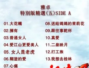群星雅卓5音乐专辑：LD转DVD的KTV必备2碟百度网盘资源（3.81G+4.03G）-小文资源网