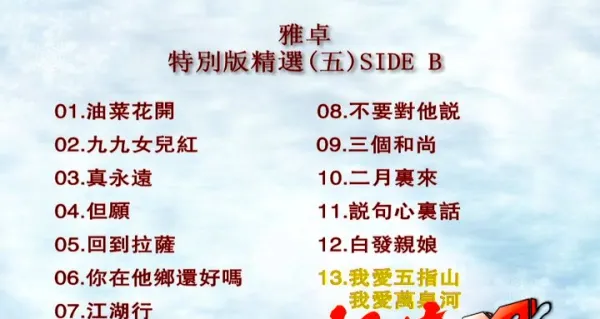 [DVD音乐专辑碟][群星 – 雅卓5][LD转DVD][KTV][2DVD-NRG][3.81G+4.03G][百度网盘]