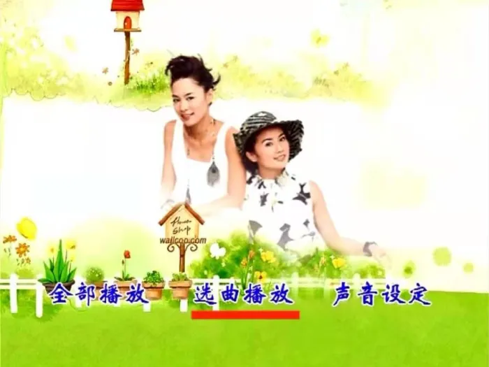 [DVD音乐专辑碟][群星 一人一首港台女声精选 碟2 D9 KTV][DVD ISO][7.07G][百度网盘]