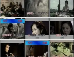 群星《中华名片名歌 2》DVD 音乐专辑碟 4.24G+4.25G 百度网盘资源-小文资源网