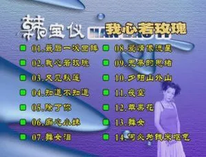韩宝仪《我心若玫瑰》KTV 版 DVD 音乐专辑 2.95G 百度网盘资源-小文资源网
