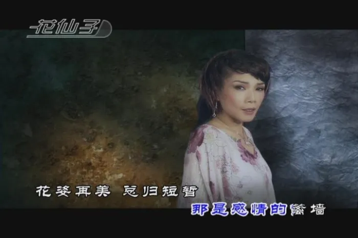 [DVD音乐专辑碟][韩宝仪 – 我心若玫瑰][KTV][DVD-ISO2.95G][百度网盘]