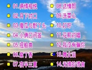 庄学忠情歌对唱花仙子KTV 2DVD 音乐专辑 百度网盘资源（3.15G+2.68G）-小文资源网