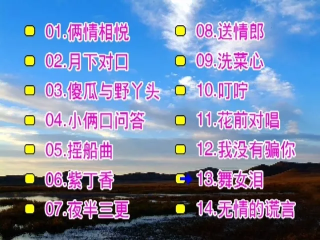 [DVD音乐专辑碟][庄学忠 – 情歌对唱][花仙子KTV][2DVDISO][3.15G+2.68G][百度网盘]