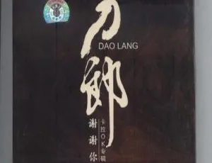 刀郎《谢谢你》九雨天下赠送DVD音乐专辑碟 3.02GB 百度网盘资源