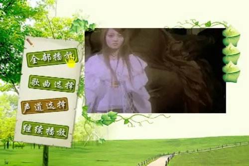 [DVD音乐专辑碟][群星 一人一首成名曲-港台篇Ⅰ][DVDISO][7.72G][百度网盘]