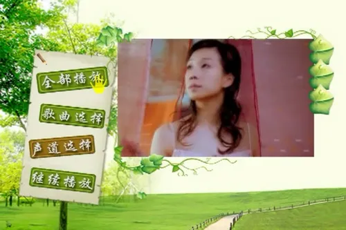 [DVD音乐专辑碟][群星 一人一首成名曲-港台篇Ⅱ][DVD ISO][7.92GB][百度网盘]