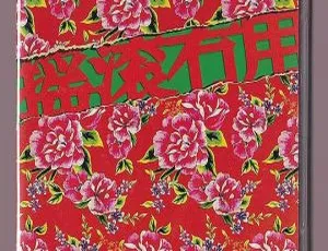 二手玫瑰2013北京工体“摇滚无用”演唱会DVD（6.33GB）网盘资源