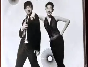 林忆莲&伦永亮 2004 香港演唱会 DVD9 高清 ISO 资源 7.89G 百度网盘分享