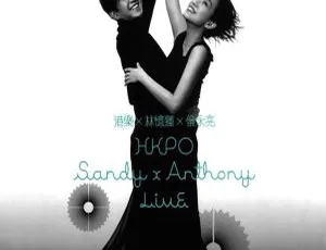 港乐盛宴！林忆莲 X 伦永亮香港演唱会 2DVD 卡拉OK版 10.68GB 百度网盘资源-小文资源网