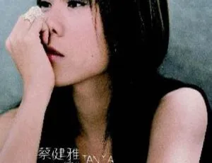 蔡健雅2004台湾陌生人演唱会DVD-ISO 3.33G 百度网盘资源-小文资源网