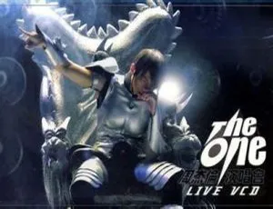 2002周杰伦The One台北演唱会内地版 2VCD（401MB+503MB）百度网盘资源-小文资源网