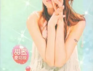 蔡依林台湾演唱会城堡庆功版 完美极致MV全纪录 2.14G DVD ISO百度网盘资源-小文资源网