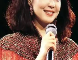 邓丽君台湾演唱会：十亿个掌声LD转制视听版5.65G DVD ISO百度网盘资源-小文资源网