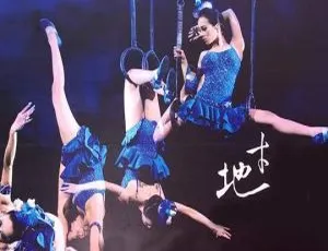 蔡依林2007台湾地才唯舞独尊演唱会DVD-ISO 6.35G 百度网盘资源-小文资源网
