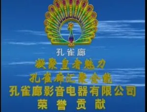 1997周华健台湾“还要爱你”演唱会自购DVD-ISO 4.24G 百度网盘资源-小文资源网