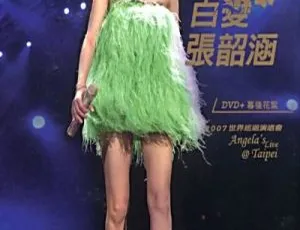 张韶涵2007台北世界巡回演唱会DVD-ISO 7.9G 百度网盘资源 百变舞台超震撼-小文资源网