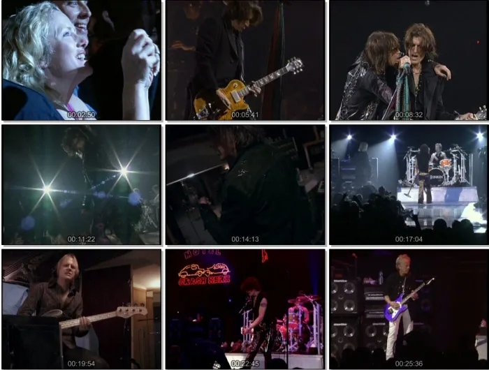 [DVD欧美演唱会][Aerosmith.-.[Live.You.Gotta.Move].空中铁匠、史密斯飞船演唱会][DVD-ISO][4.33G][百度网盘]