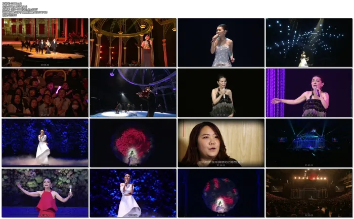 [BD台湾演唱会][张清芳 芳华盛宴 Stella Live Concert 2015 台湾演唱会][ISO][43.88G][百度网盘]