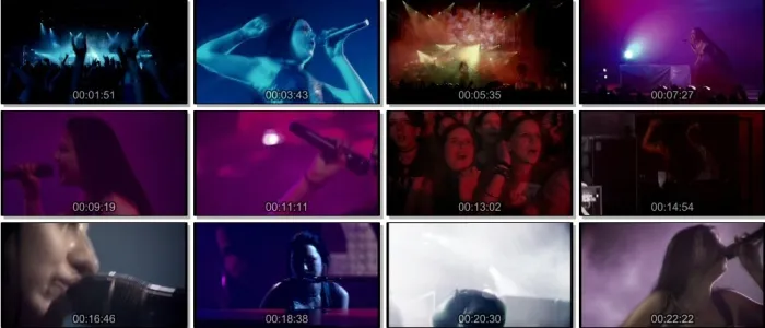 [DVD欧美演唱会][伊凡·塞斯Evanescence:巴黎演唱会][DVD-ISO4.36G][百度网盘]
