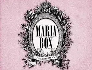 2010 日本演唱会 MARIA 附 MARIA BOX 专属 DVD 4.2GB 百度网盘资源-小文资源网