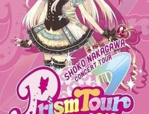 中川翔子 2010 Prism Tour日本演唱会 2DVD ISO 11.7GB 百度网盘资源-小文资源网