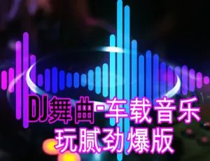 150首车载DJ版音乐合集 1.43GB 百度网盘下载-小文资源网