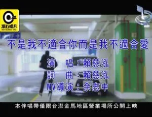 2020 内地国语 MV：赖慈泓《不是我不适合你而是我不适合爱》 162MB 百度网盘资源-小文资源网
