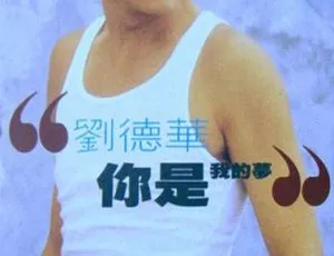 1993 香港刘德华《你是我的梦 EP》85.5M FLAC 整轨 百度盘资源-小文资源网