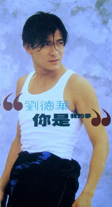 [1993][香港][刘德华]《你是我的梦 EP》FLAC_整轨_85.5M[百度盘]