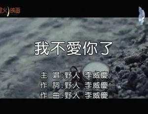 2019内地国语MV 李威庆《我不爱你了》114MB百度网盘资源-小文资源网