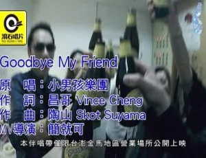 2019内地小男孩乐团GOODBYE MY FRIEN国语MV 171MB百度网盘资源-小文资源网