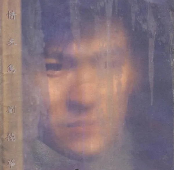 [1995][香港][刘德华]《情未鸟》APE_整轨_310.8M[百度盘]