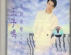 1996 内地王子鸣《为我归来吧》WAV+CUE 461.9M 百度盘资源-小文资源网