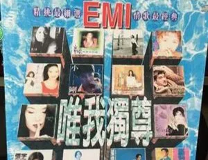 1996 内地群星《EMI 唯我独尊》WAV 分轨 495.6M 百度盘资源-小文资源网