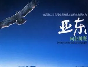 2003 内地亚东《向往神鹰》WAV+CUE 606.5M 百度盘资源-小文资源网