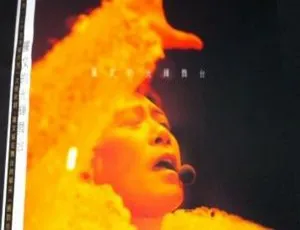 2003内地罗文《罗文的光辉舞台演唱会》APE分轨1.35G 百度盘资源-小文资源网