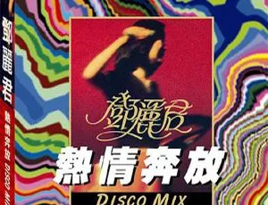 2005 邓丽君《热情奔放 DISCO MIX》APE 整轨 344.7M 百度盘资源-小文资源网