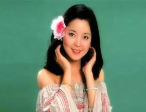 2005香港邓丽君《青春少女篇3 爱人是个多情人》APE整轨252.5M 百度盘资源-小文资源网
